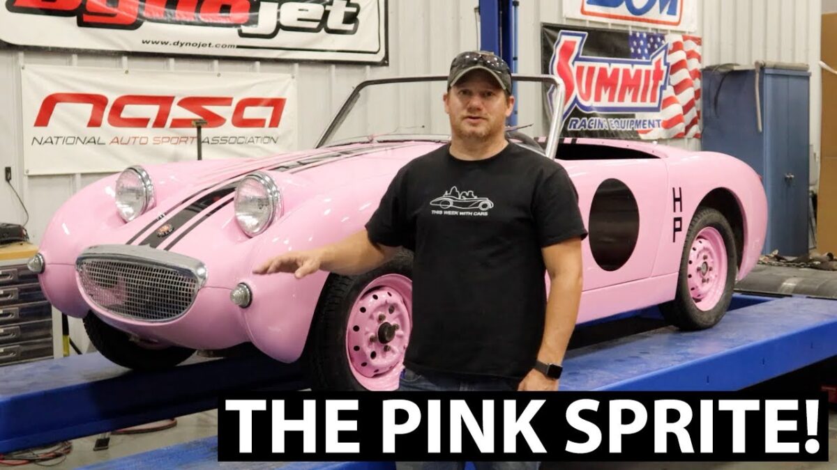 Barn Sprite Number 6 Thinks Pink