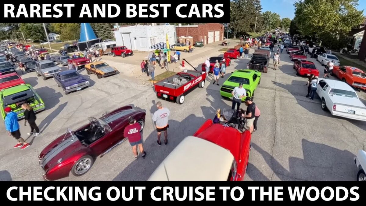 Hidden Surprises at Cruise to the Woods