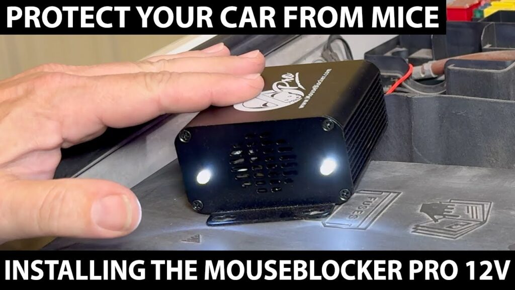 Mouse Blocker 12V Install - This Week With Cars